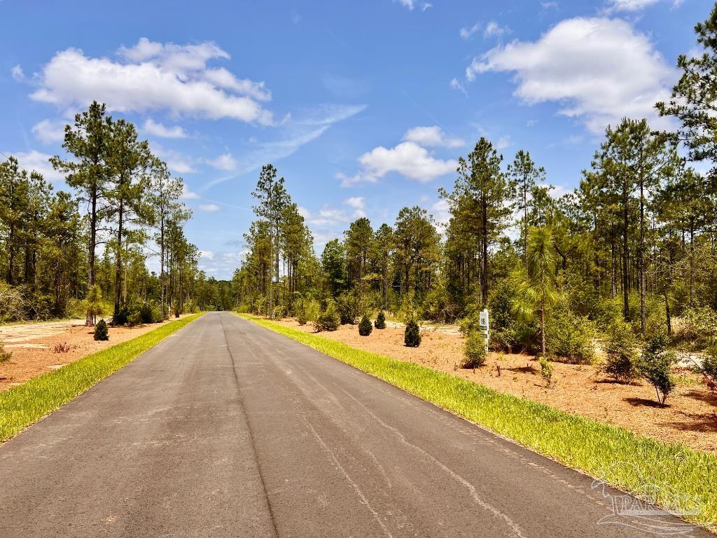 Lot 98 Turning Leaf Road Jay FL 32565