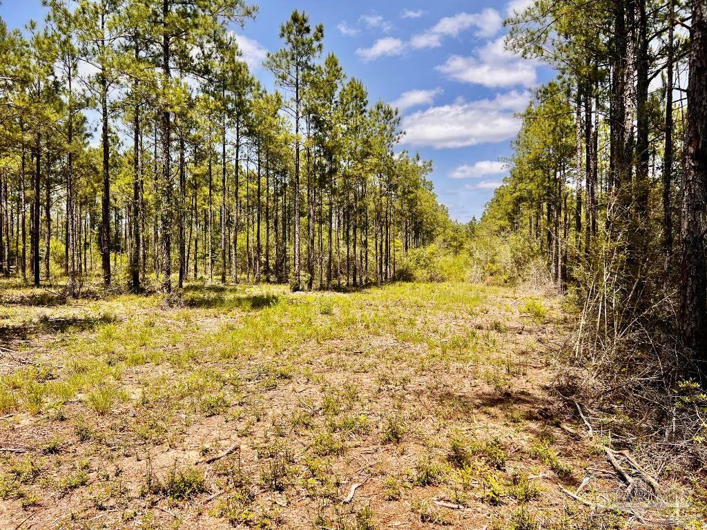 Lot 98 Turning Leaf Road Jay FL 32565