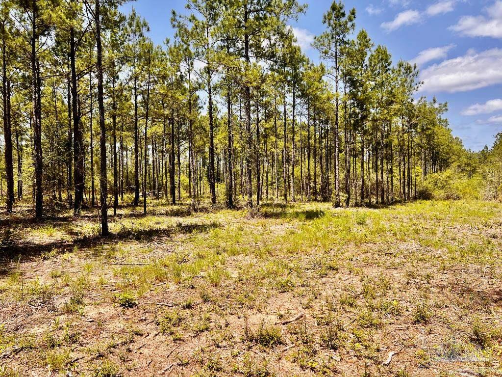 Lot 98 Turning Leaf Road Jay FL 32565