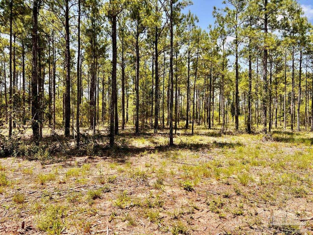 Lot 98 Turning Leaf Road Jay FL 32565