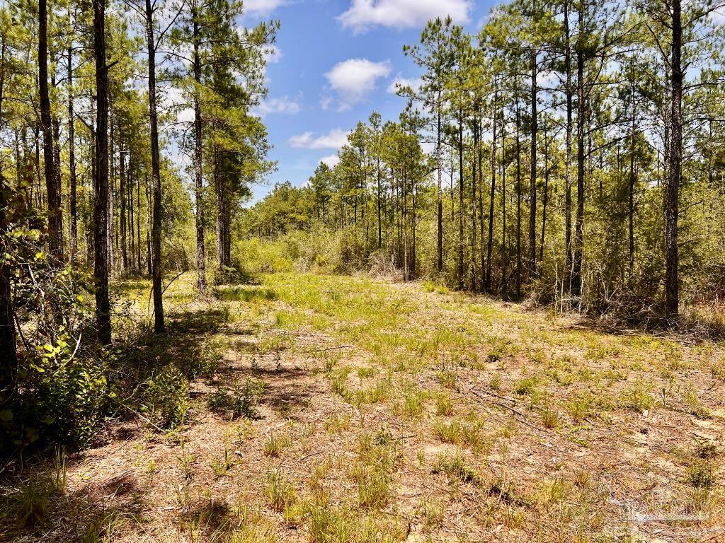 Lot 98 Turning Leaf Road Jay FL 32565