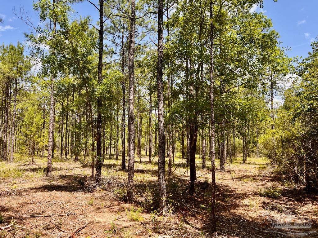 Lot 98 Turning Leaf Road Jay FL 32565
