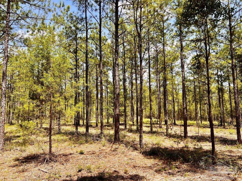 Lot 98 Turning Leaf Road Jay FL 32565