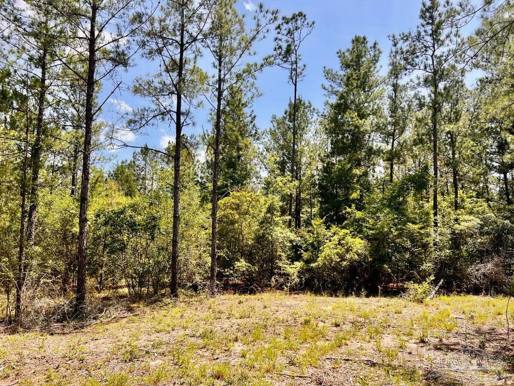 Lot 98 Turning Leaf Road Jay FL 32565