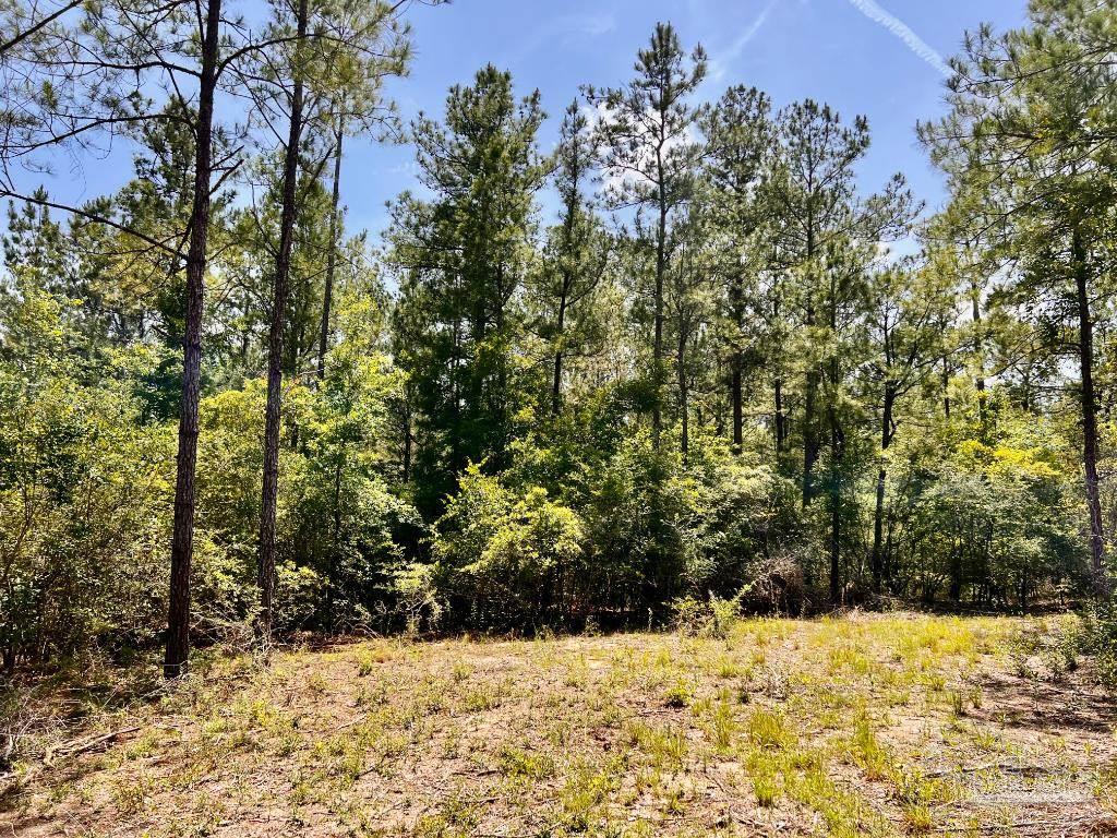 Lot 98 Turning Leaf Road Jay FL 32565