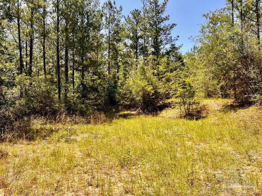 Lot 98 Turning Leaf Road Jay FL 32565