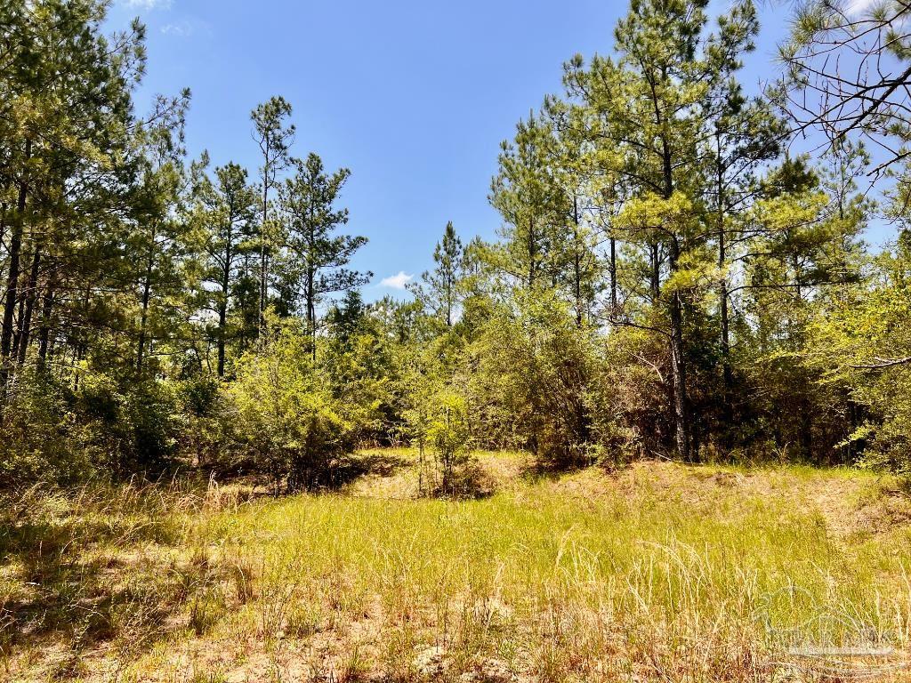 Lot 98 Turning Leaf Road Jay FL 32565