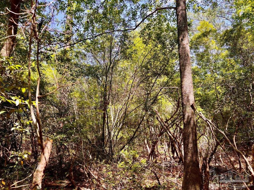 Lot 98 Turning Leaf Road Jay FL 32565