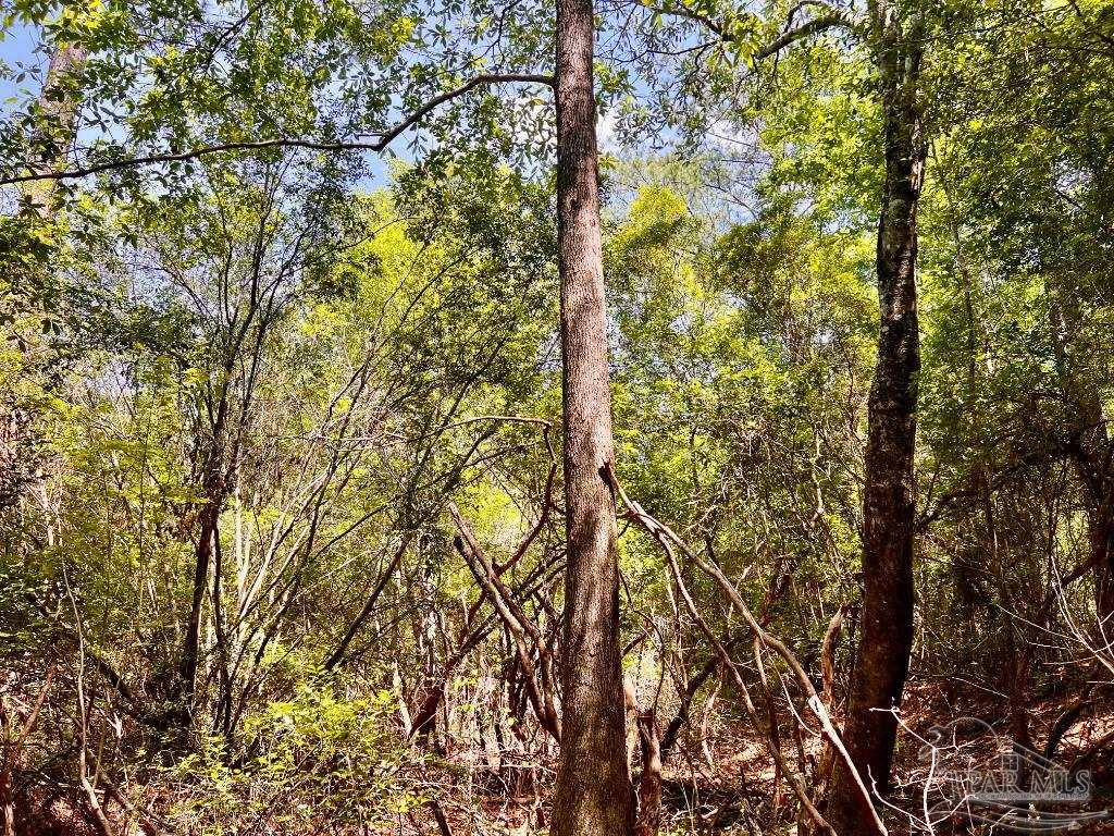 Lot 98 Turning Leaf Road Jay FL 32565