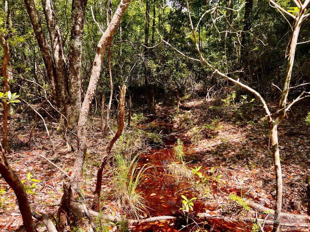 Lot 98 Turning Leaf Road Jay FL 32565