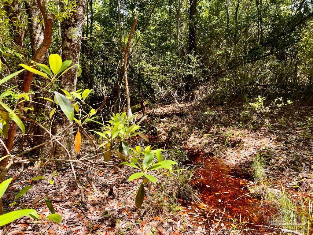 Lot 98 Turning Leaf Road Jay FL 32565