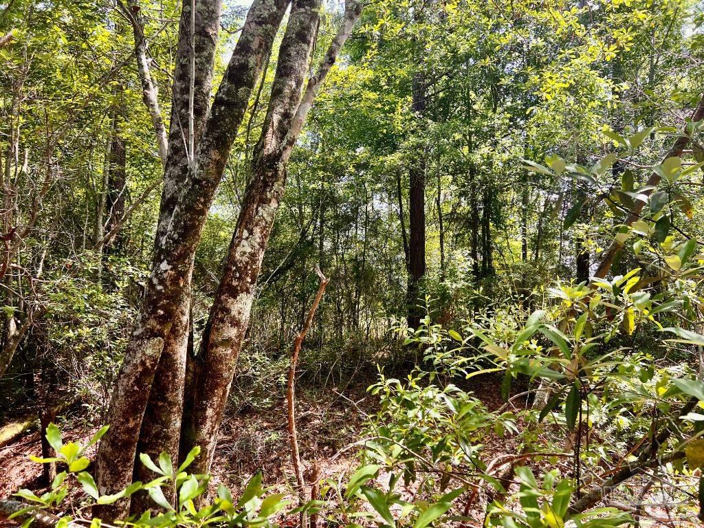 Lot 98 Turning Leaf Road Jay FL 32565