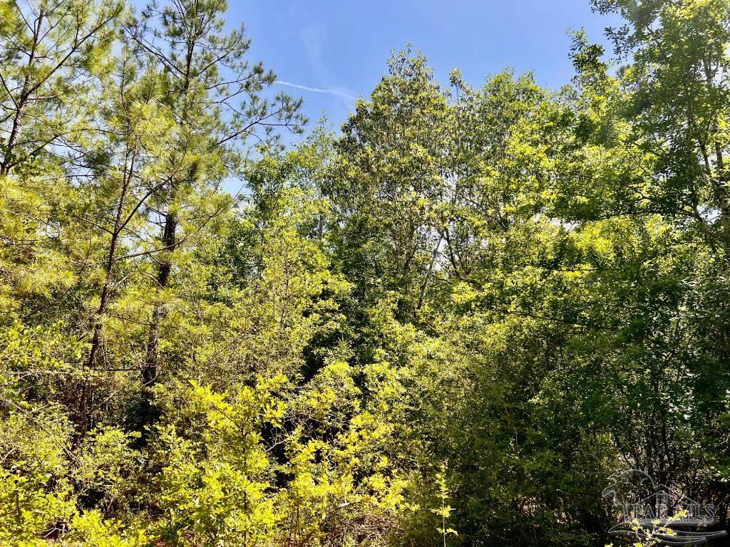 Lot 98 Turning Leaf Road Jay FL 32565
