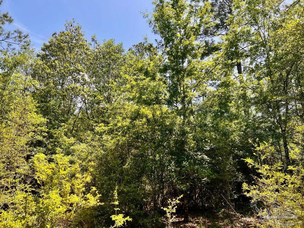 Lot 98 Turning Leaf Road Jay FL 32565