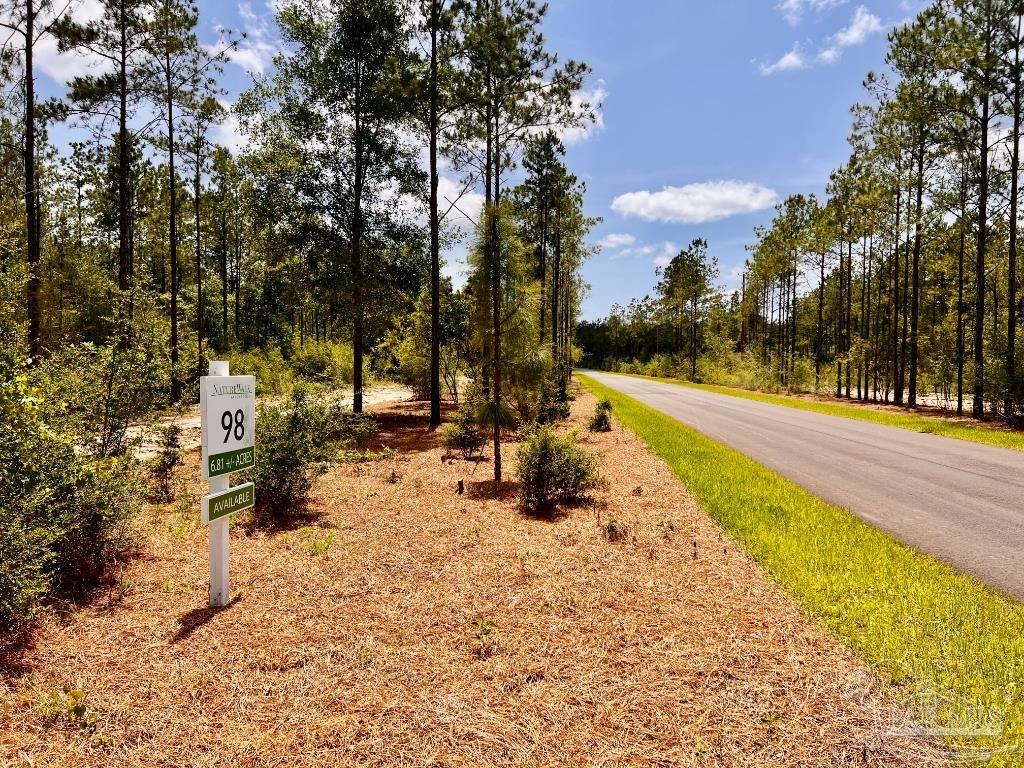 Lot 98 Turning Leaf Road Jay FL 32565