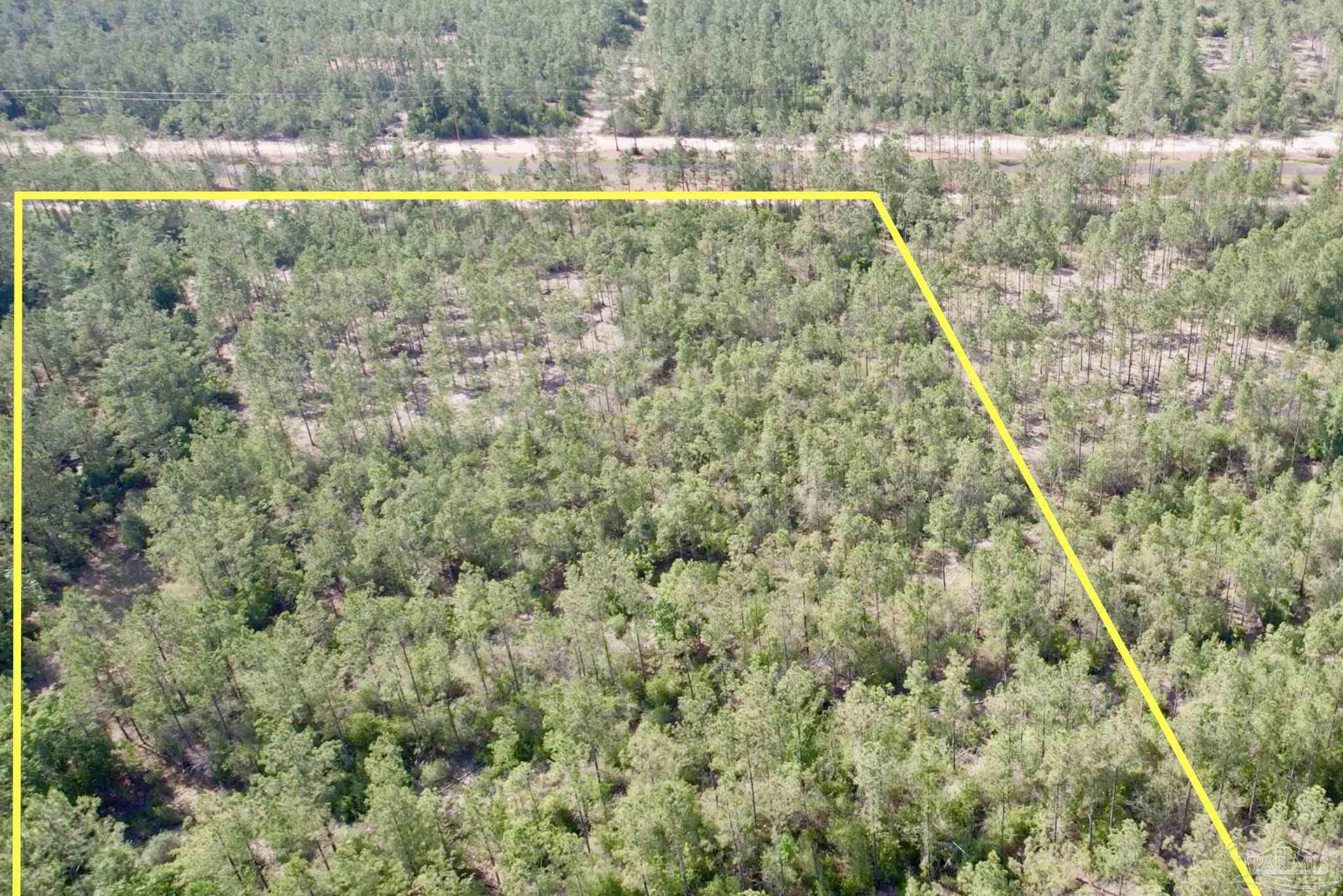 Lot 98 Turning Leaf Road Jay FL 32565