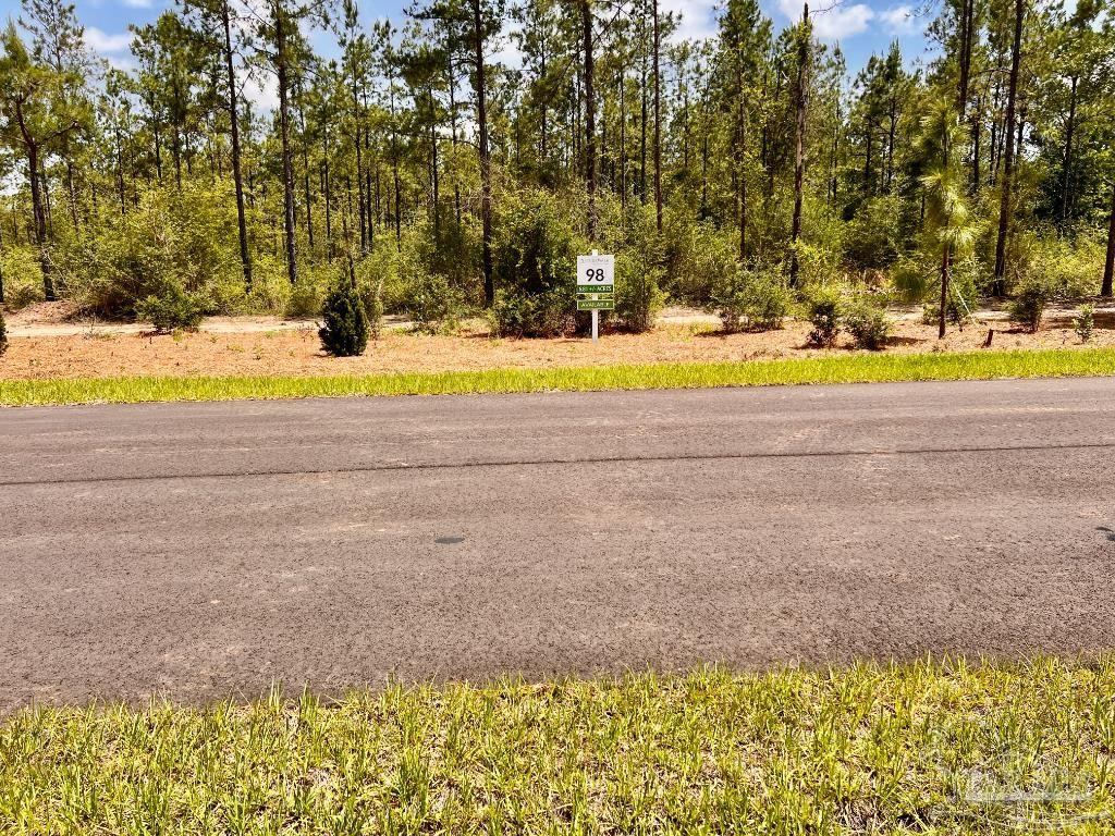 Lot 98 Turning Leaf Road Jay FL 32565