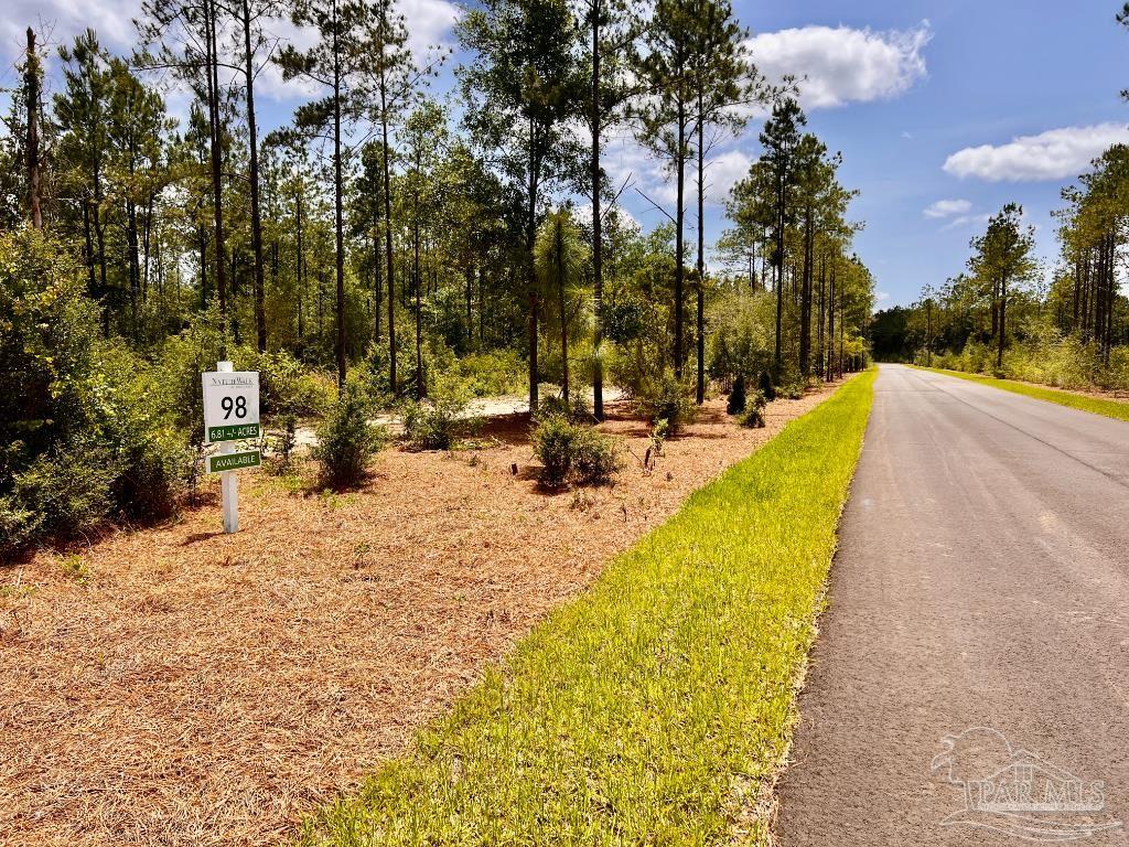 Lot 98 Turning Leaf Road Jay FL 32565
