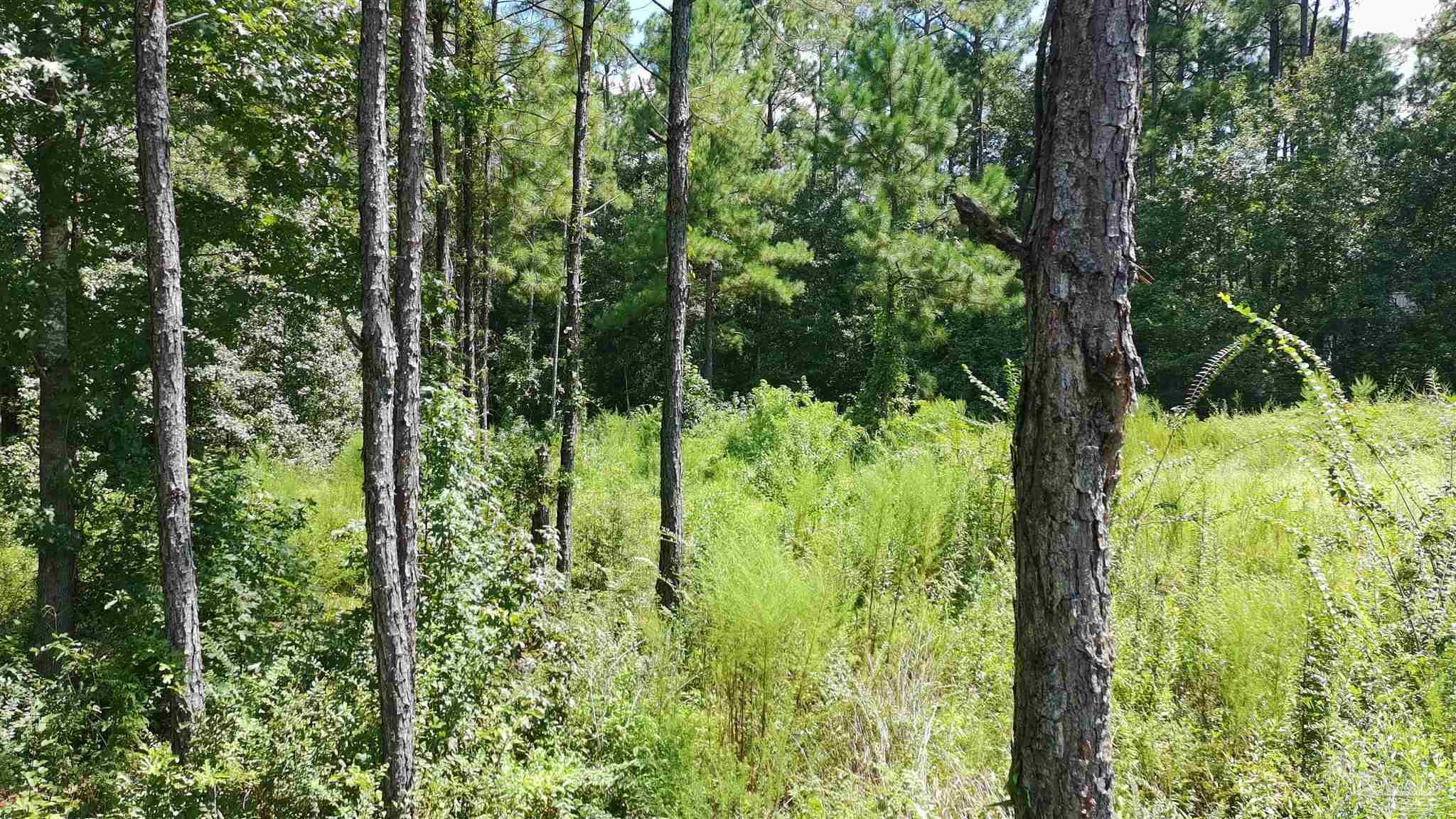 3457 Argyle Drive Pace FL 32571