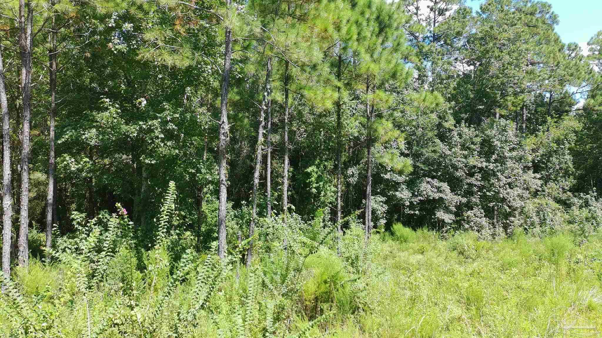 3457 Argyle Drive Pace FL 32571
