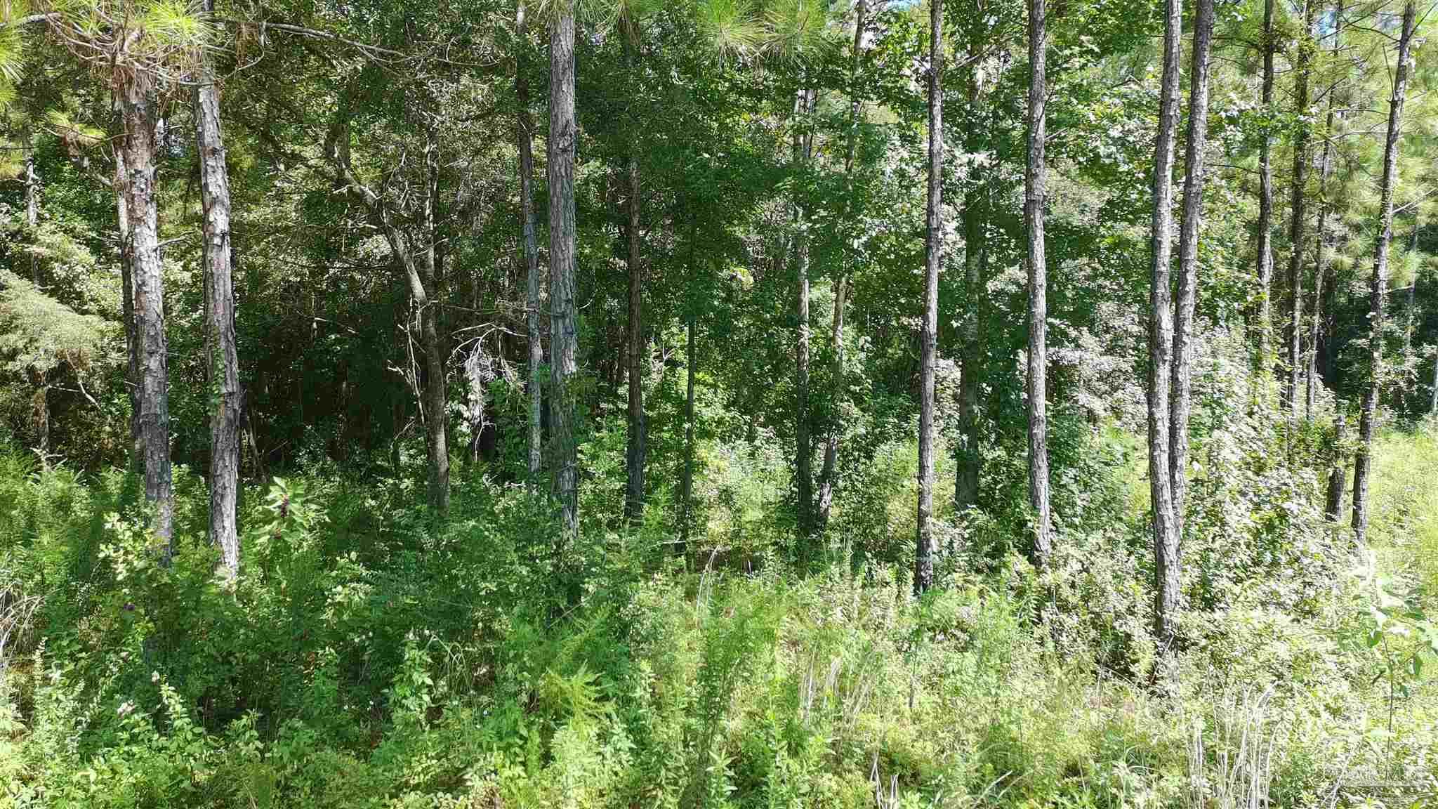 3457 Argyle Drive Pace FL 32571