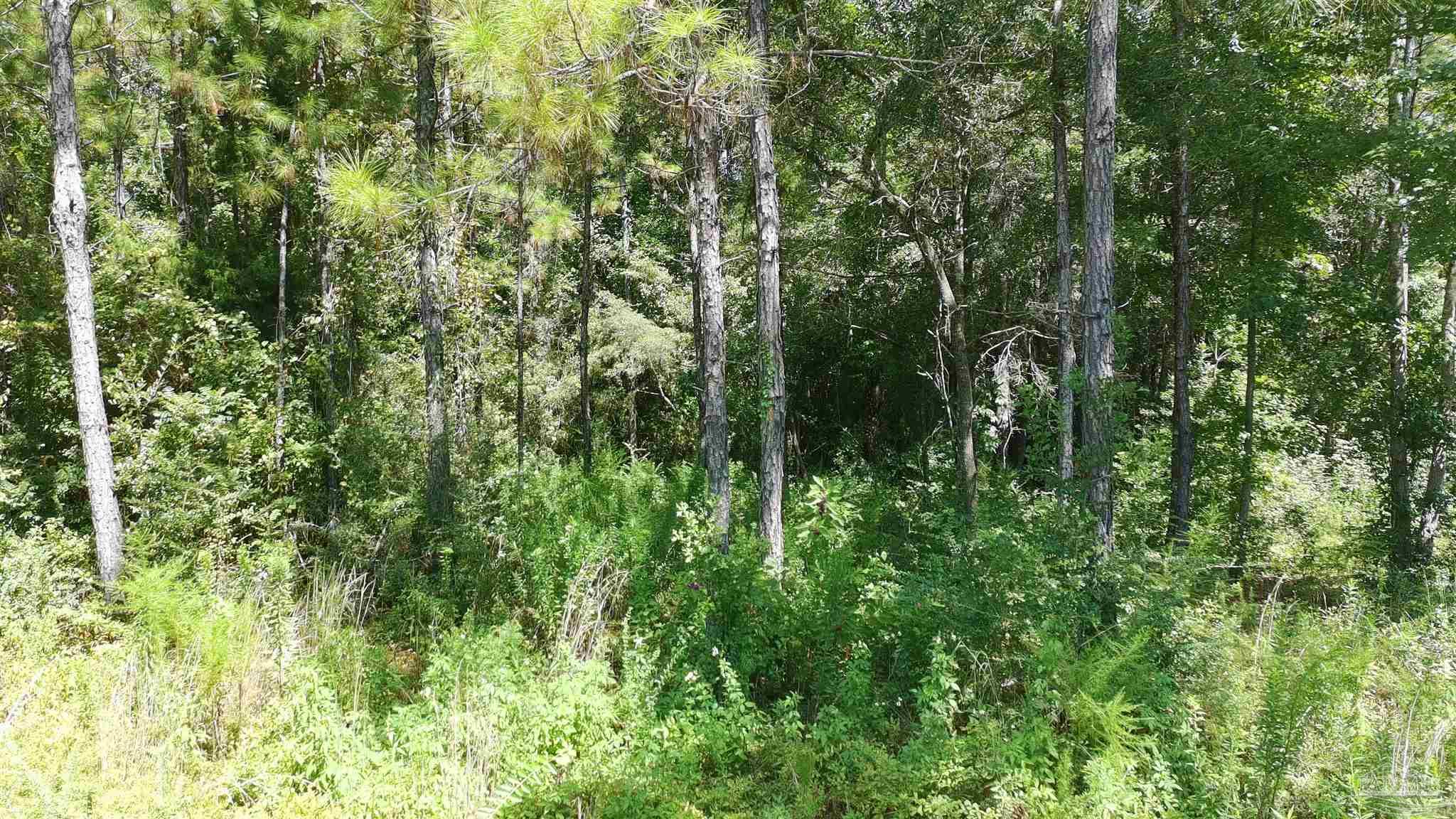 3457 Argyle Drive Pace FL 32571