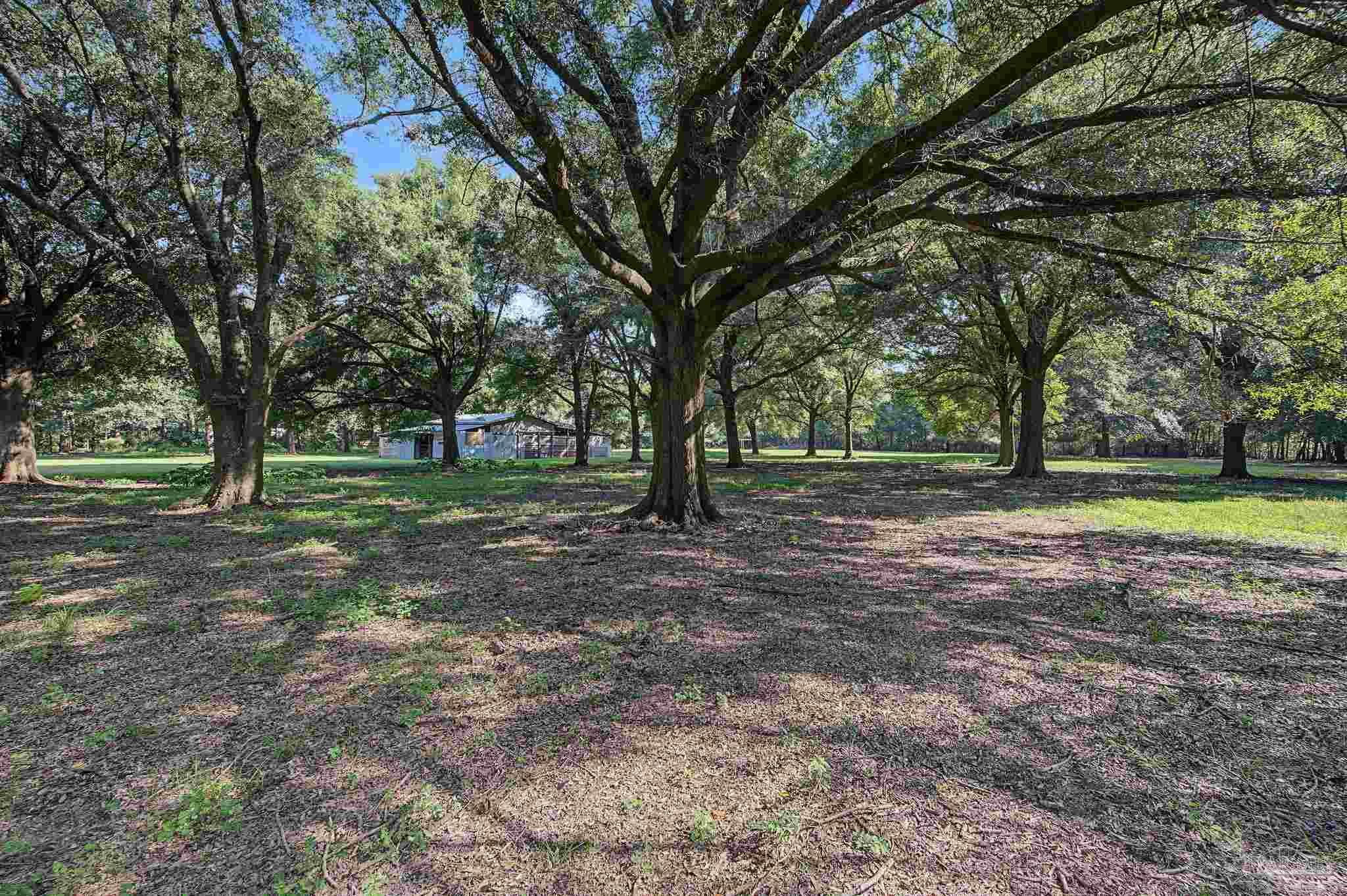 12400 Wildlife Road Holt FL 32564