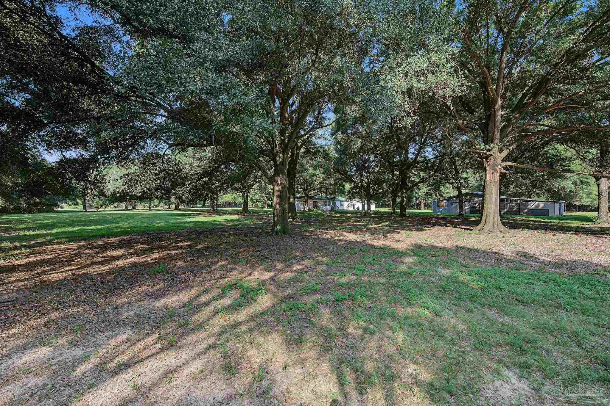 12400 Wildlife Road Holt FL 32564
