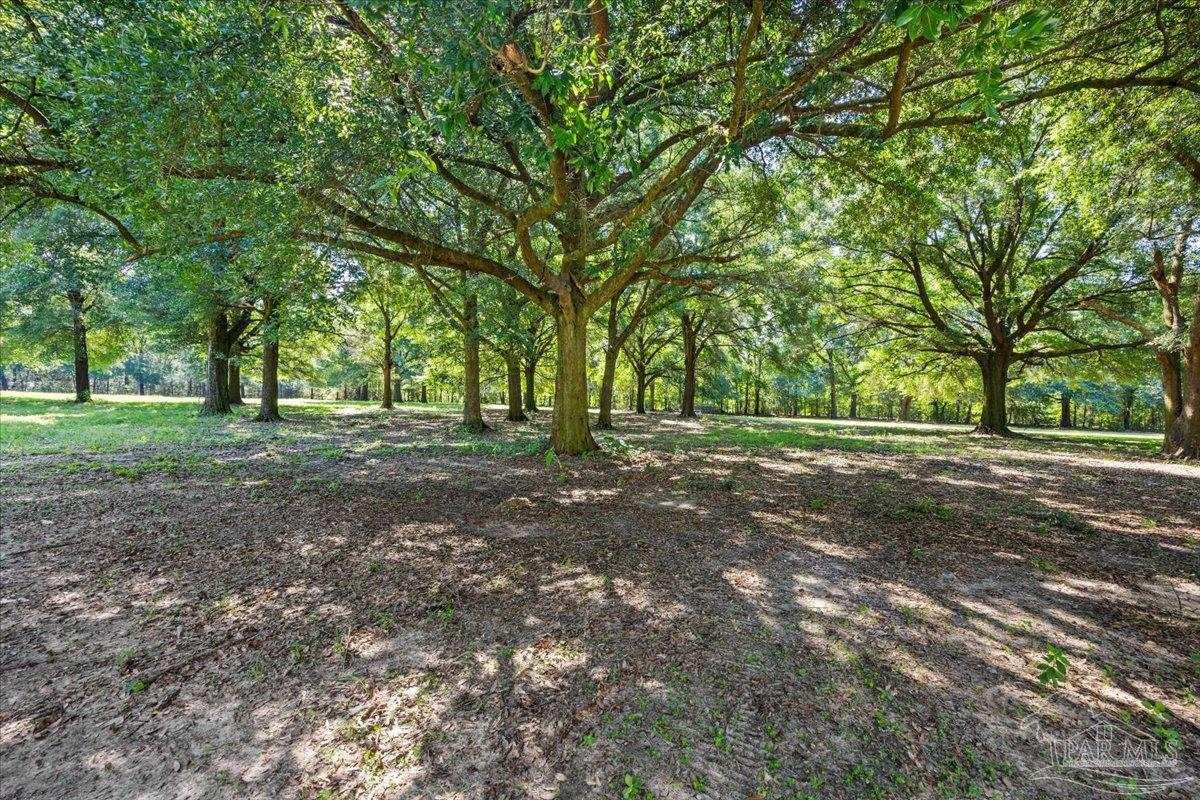 12400 Wildlife Road Holt FL 32564
