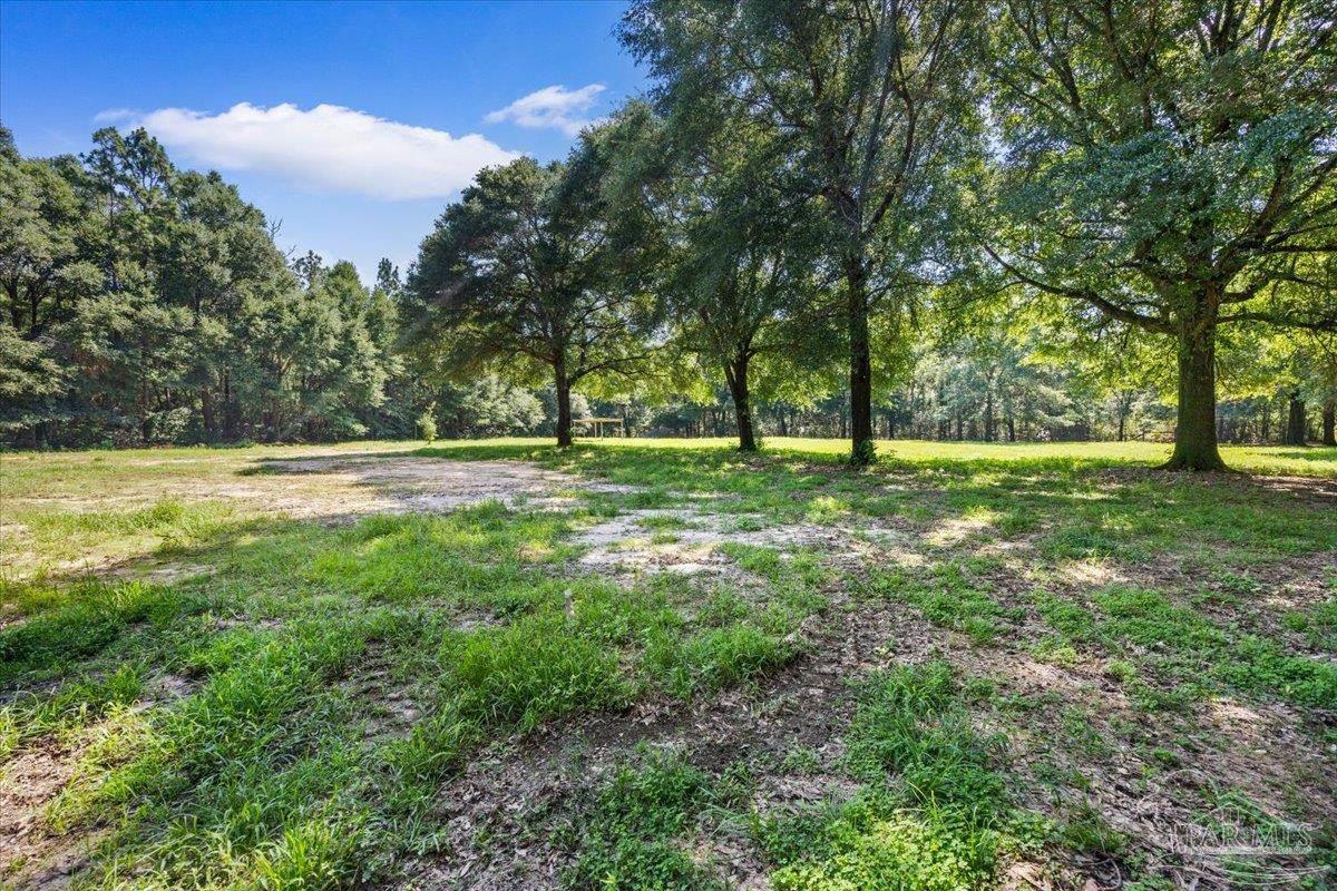 12400 Wildlife Road Holt FL 32564