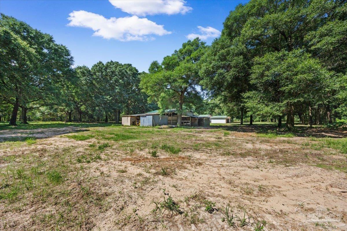 12400 Wildlife Road Holt FL 32564