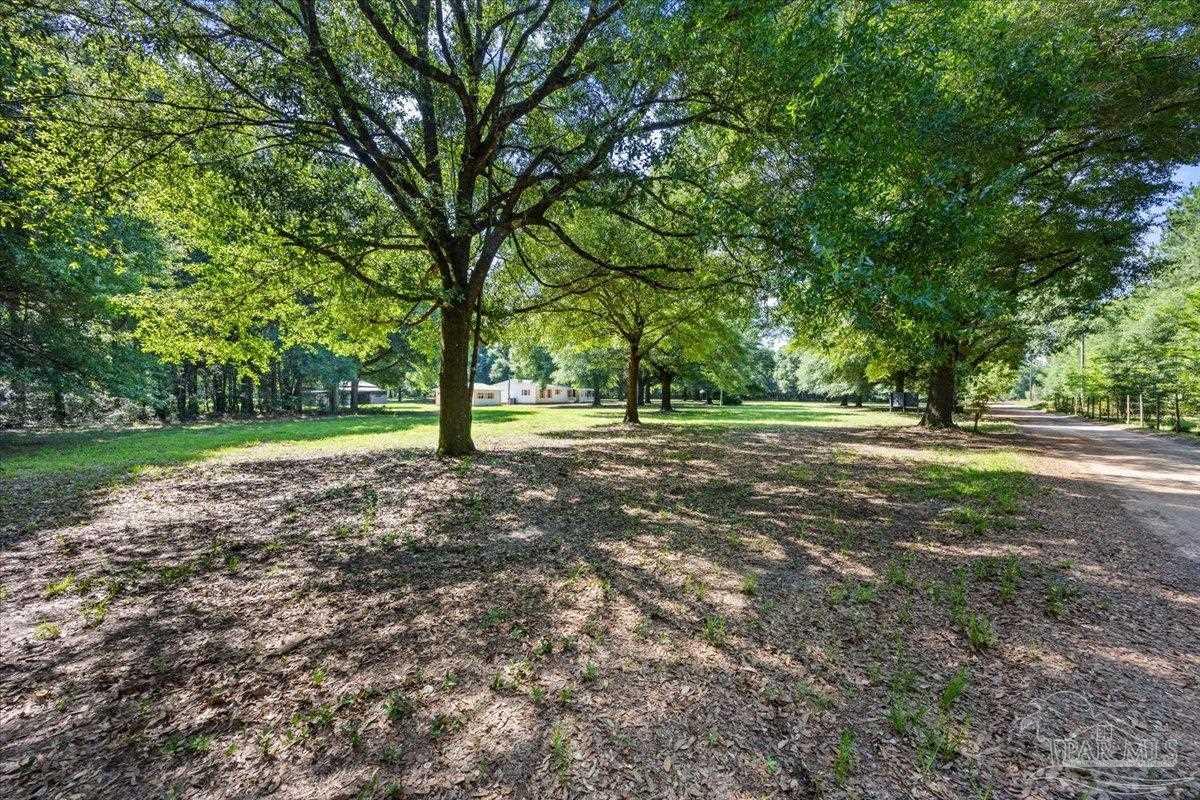12400 Wildlife Road Holt FL 32564
