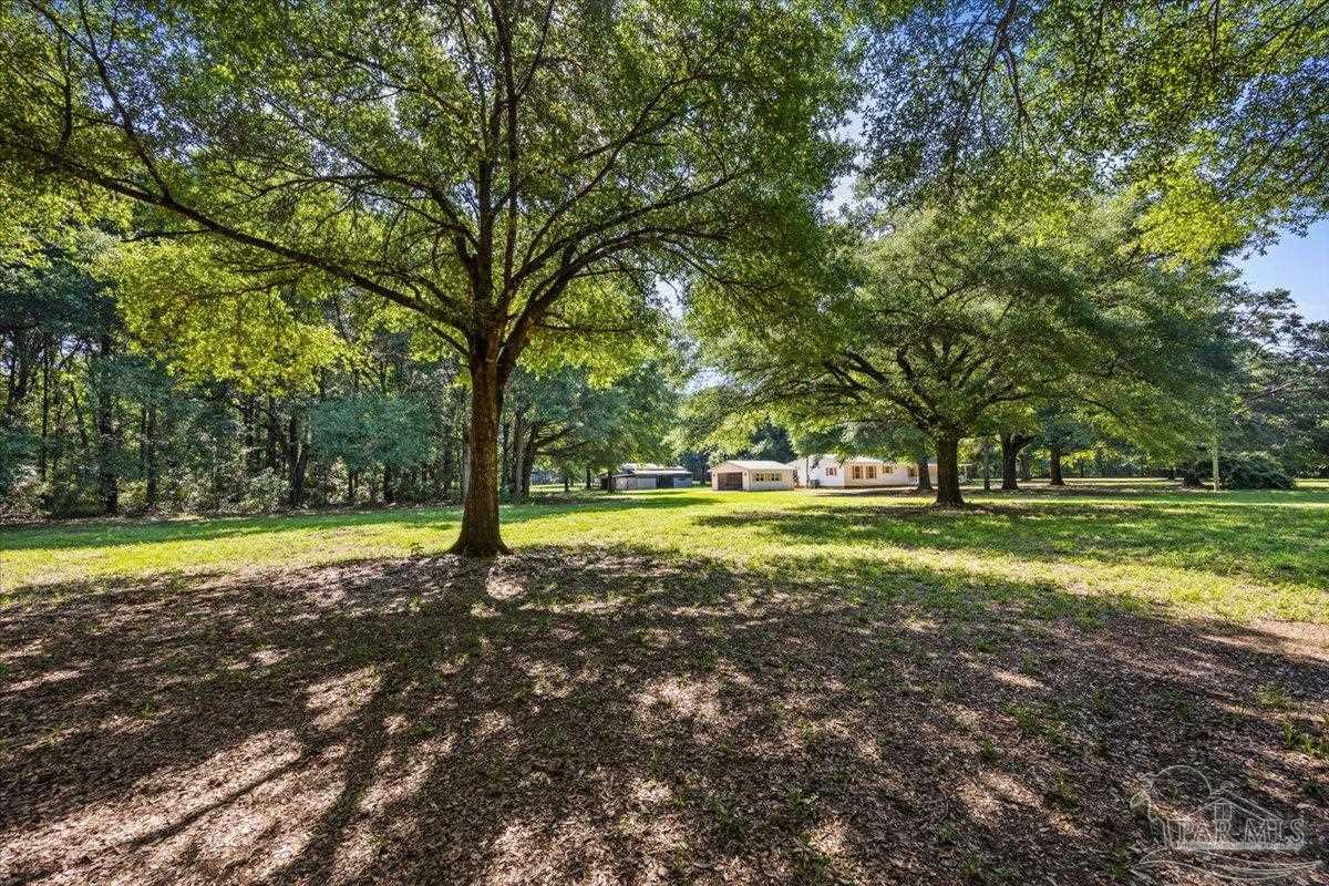 12400 Wildlife Road Holt FL 32564