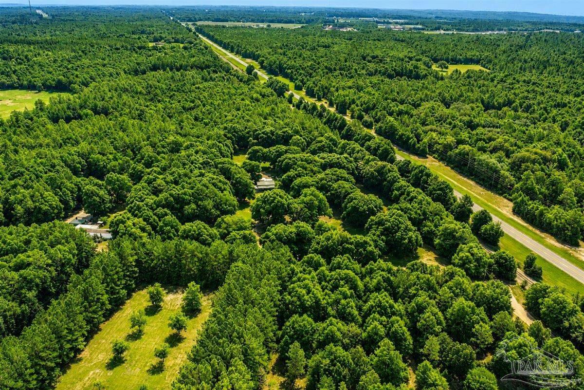 12400 Wildlife Road Holt FL 32564