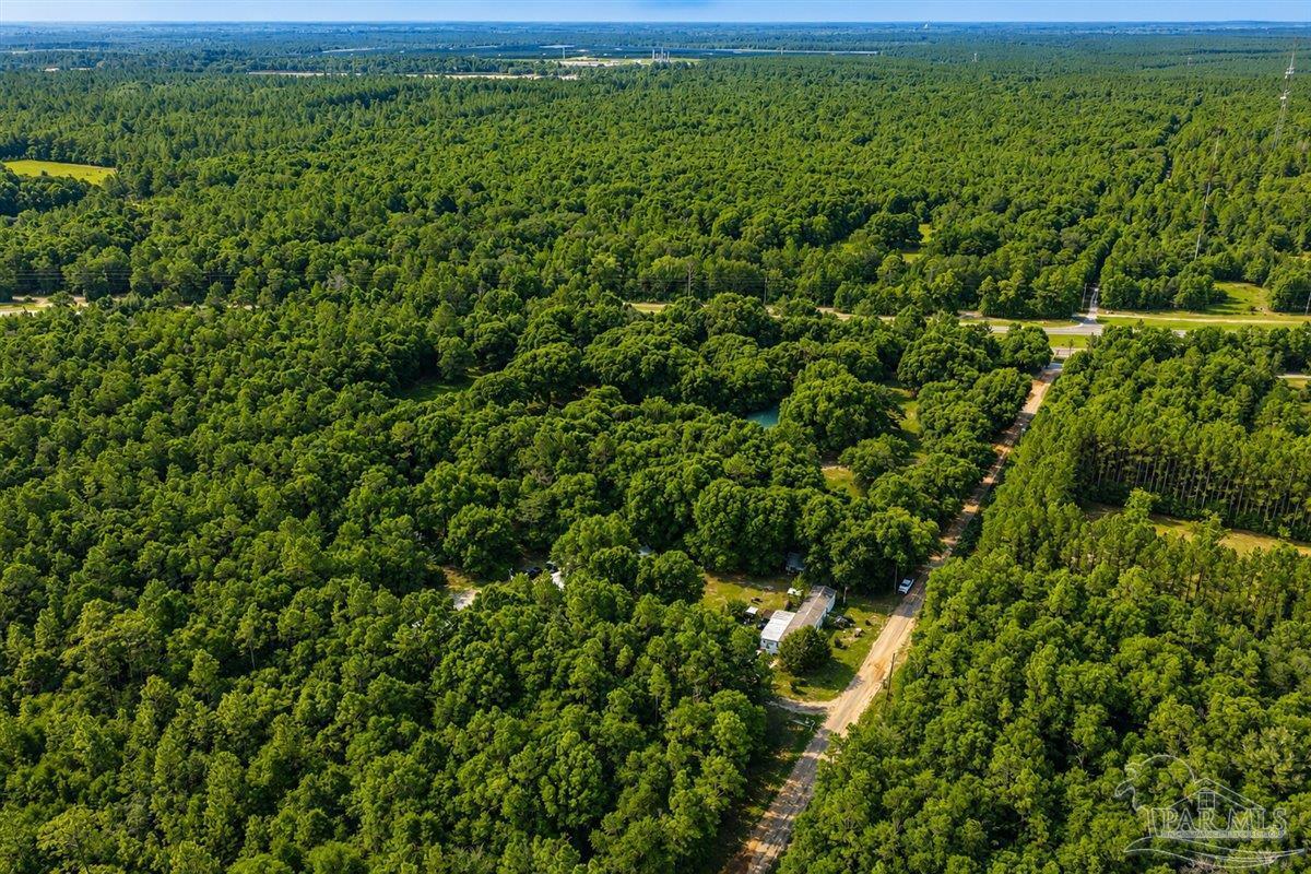 12400 Wildlife Road Holt FL 32564