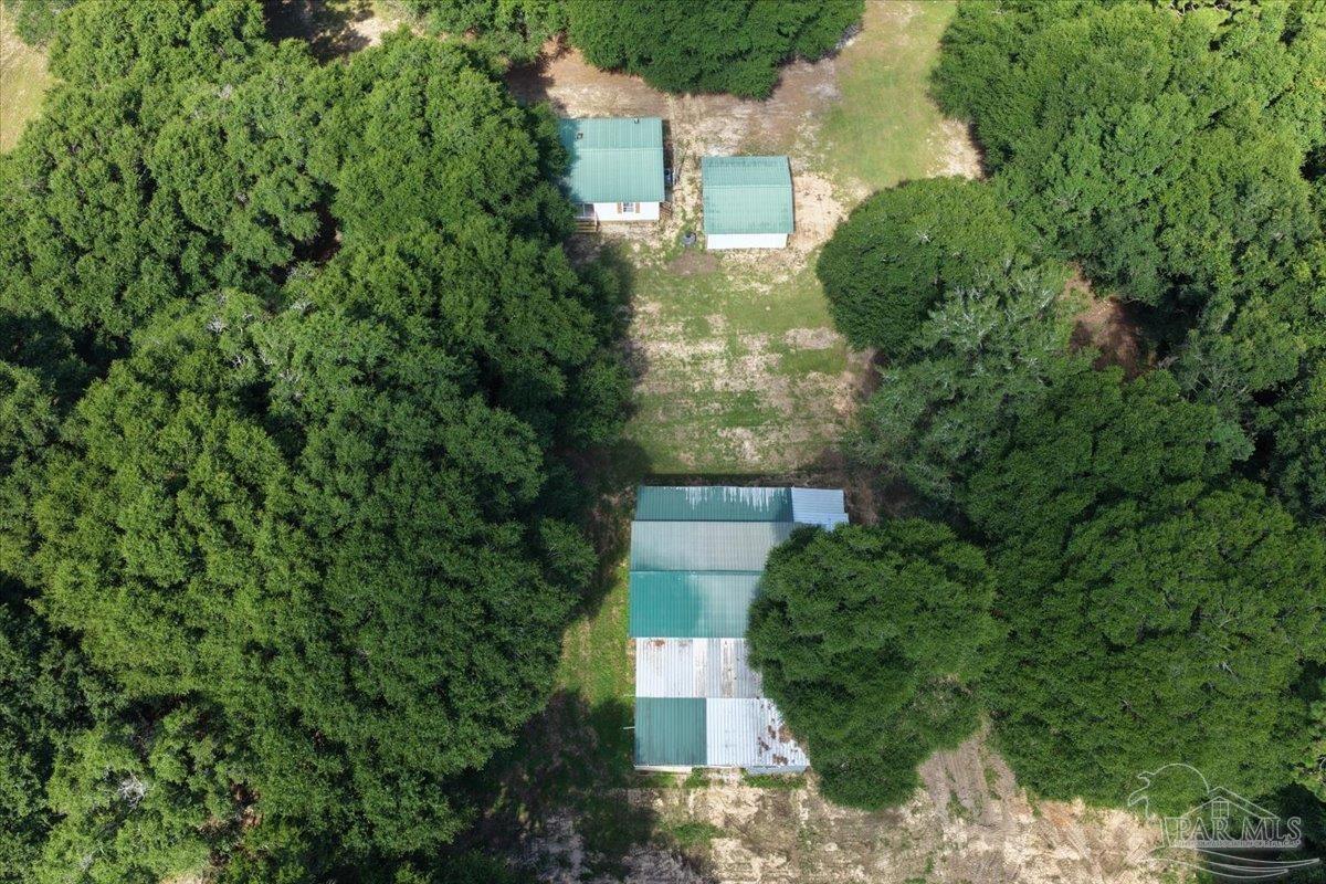 12400 Wildlife Road Holt FL 32564