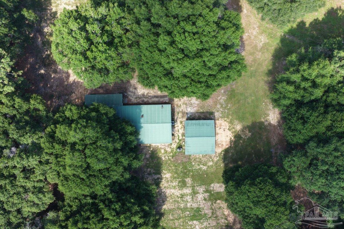 12400 Wildlife Road Holt FL 32564
