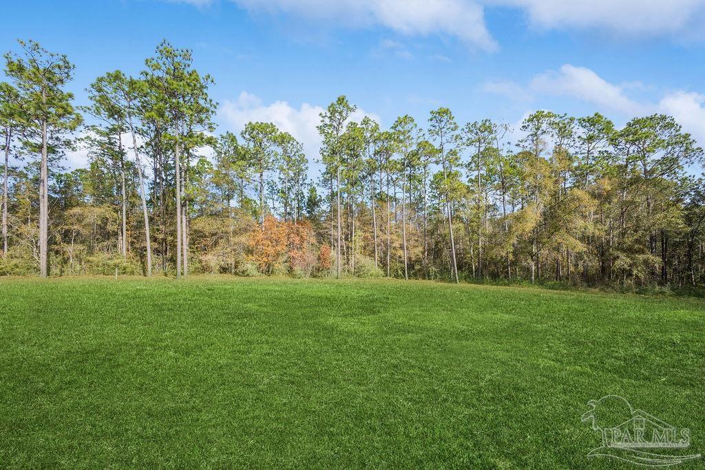 4460 Highway 29 Molino FL 32577