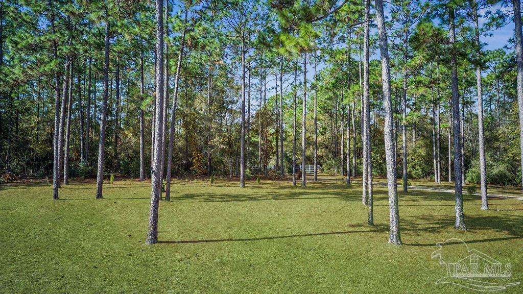 4460 Highway 29 Molino FL 32577
