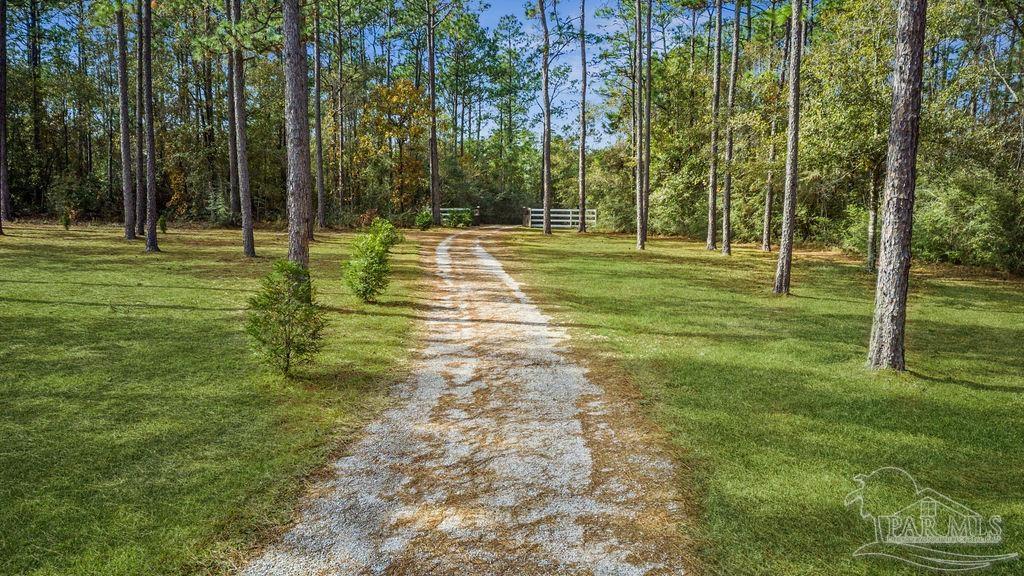 4460 Highway 29 Molino FL 32577