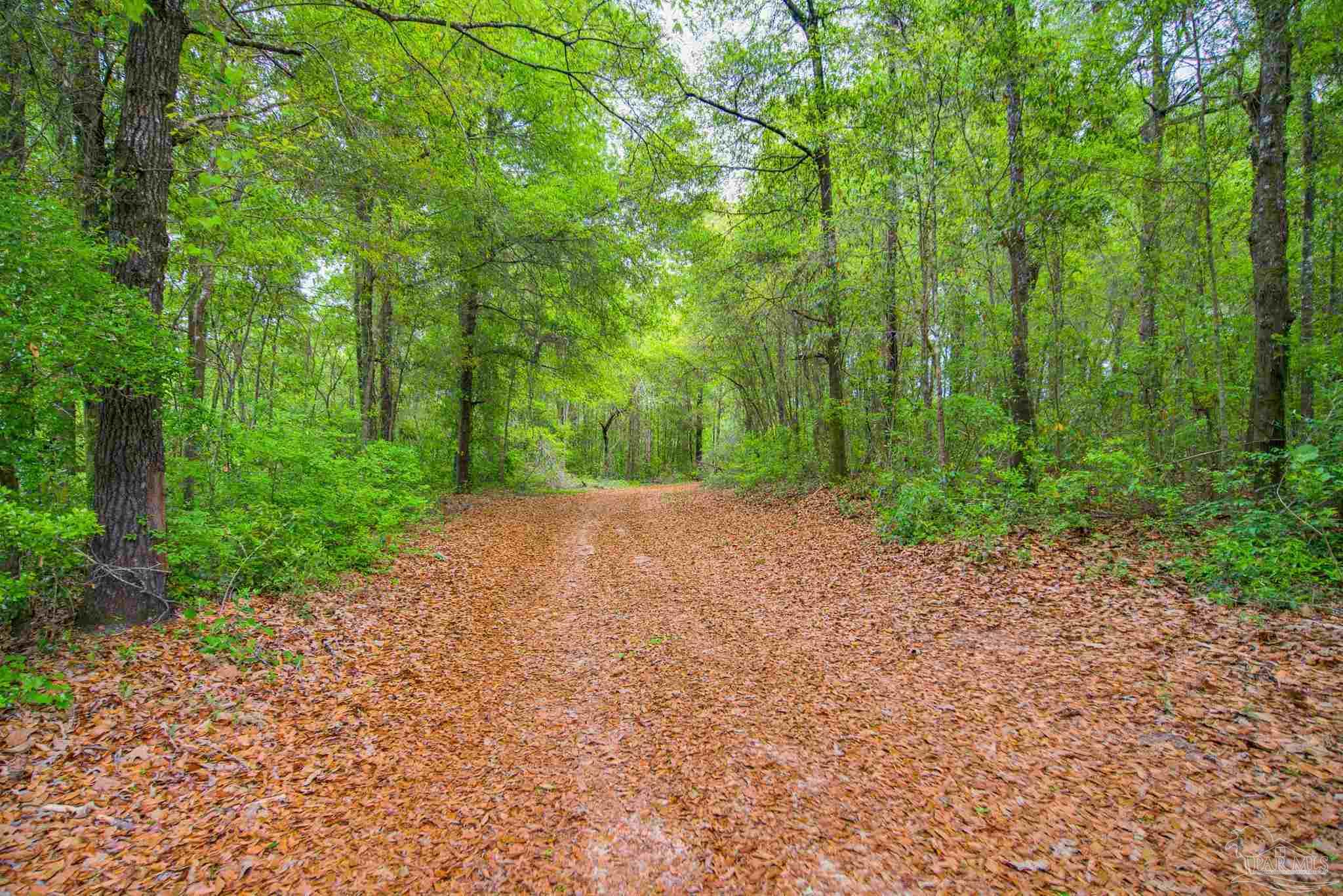 2855 Walling Road Milton FL 32570