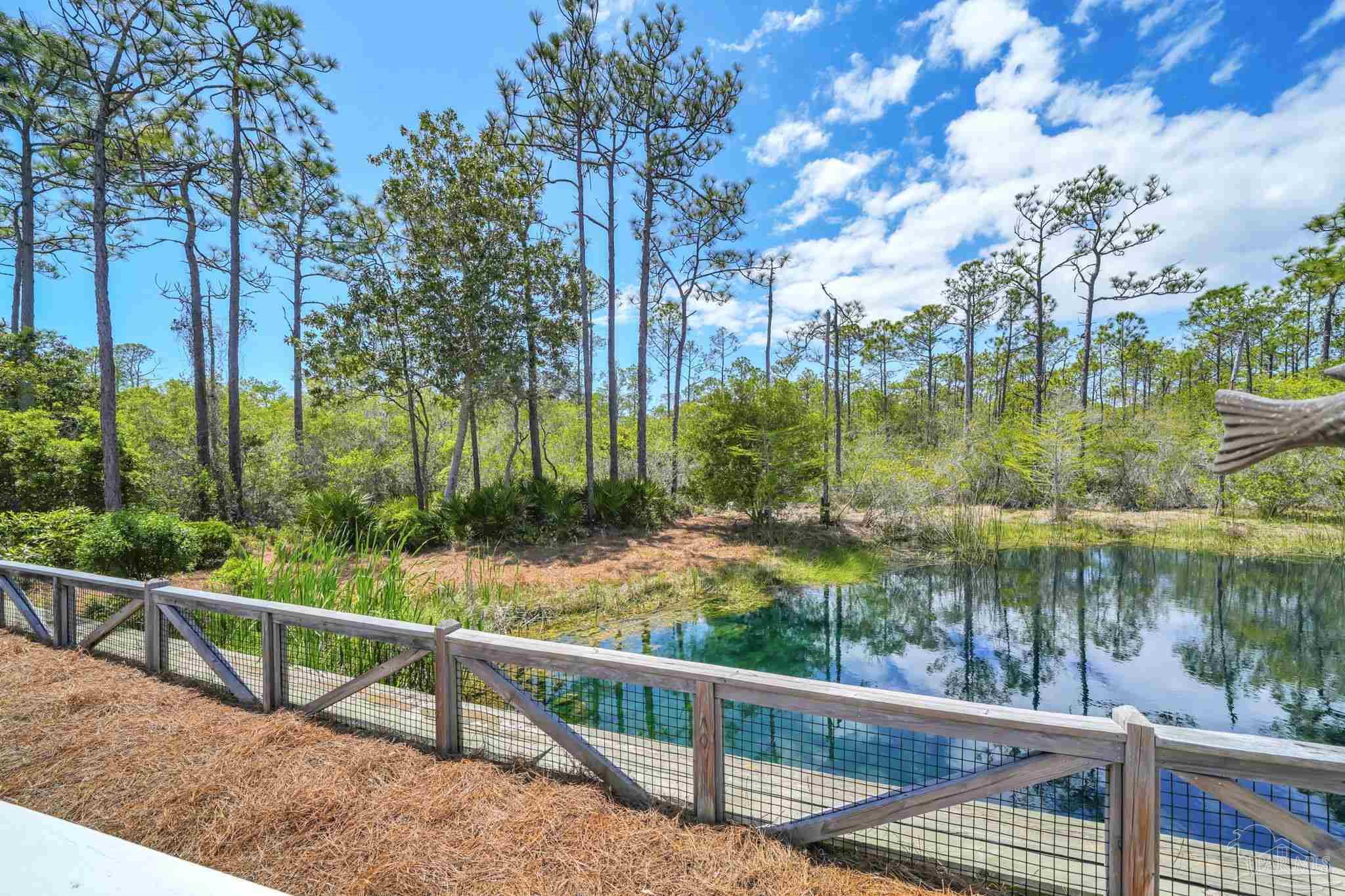 305 Flatwoods Forest Loop Santa Rosa Beach FL 32459
