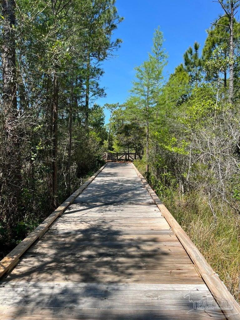 305 Flatwoods Forest Loop Santa Rosa Beach FL 32459