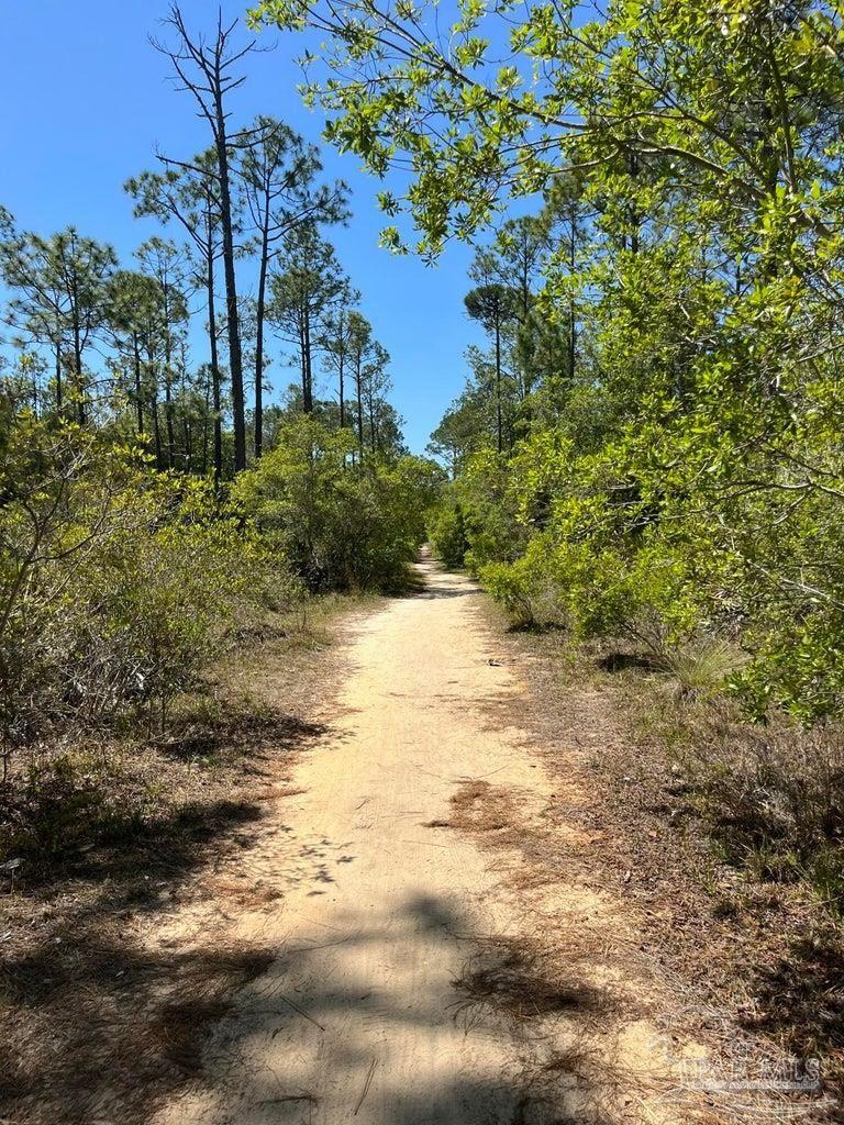 305 Flatwoods Forest Loop Santa Rosa Beach FL 32459