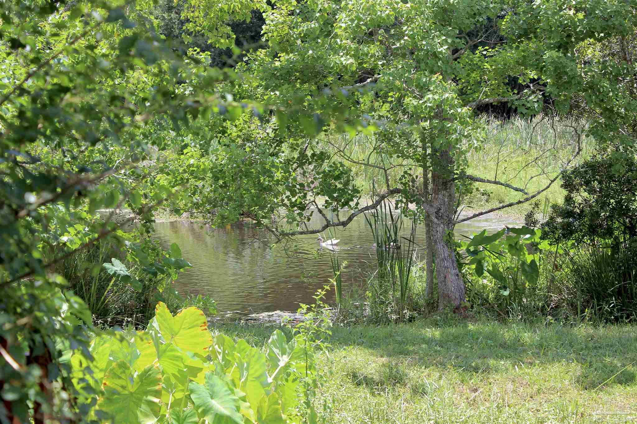 1471 Watkins Trail Pensacola FL 32506