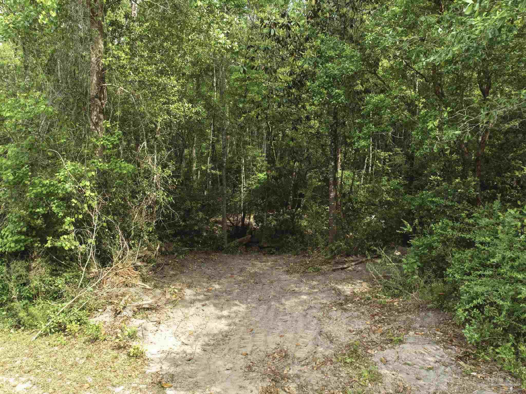 711 Nancy Lane Molino FL 32577