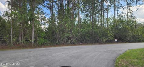 1206 Larkspur Street SE Palm Bay FL 32909