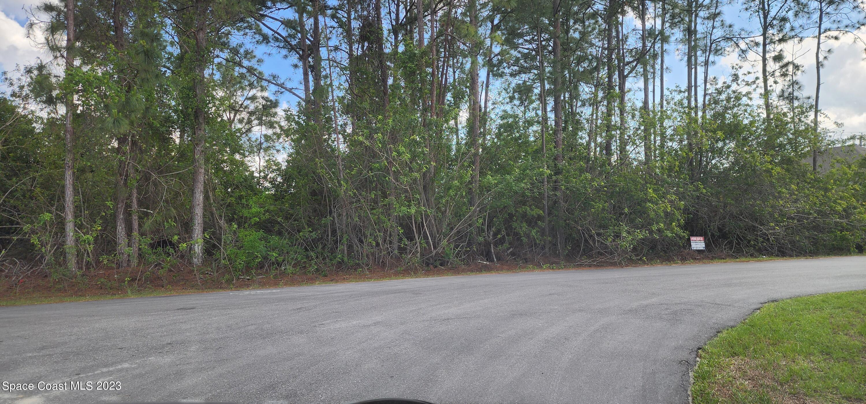 1206 Larkspur Street SE Palm Bay FL 32909