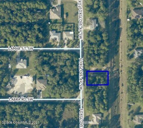 2785 Foxglove Avenue SW Palm Bay FL 32908