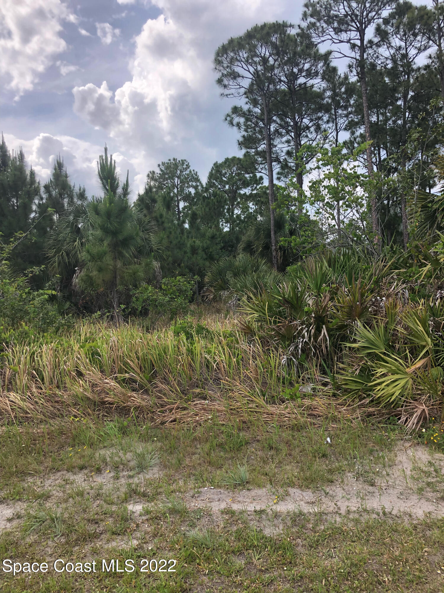 2480 San Filippo Drive SE Palm Bay FL 32909